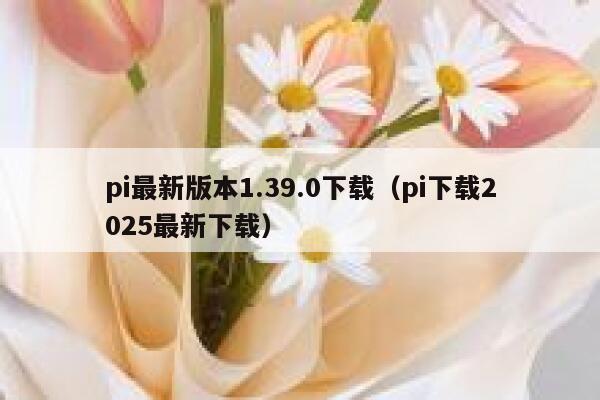pi最新版本1.39.0下载（pi下载2025最新下载） 第1张
