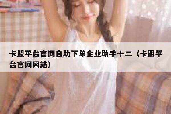 卡盟平台官网自助下单企业助手十二（卡盟平台官网网站） 第1张