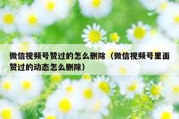 微信视频号赞过的怎么删除(微信视频号里面赞过的动态怎么删除) 第1张 微信视频号赞过的怎么删除(微信视频号里面赞过的动态怎么删除) 第1张