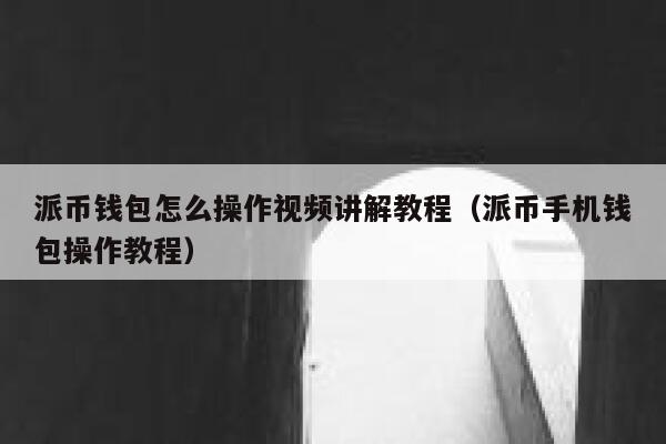 派币钱包怎么操作视频讲解教程（派币手机钱包操作教程） 第1张