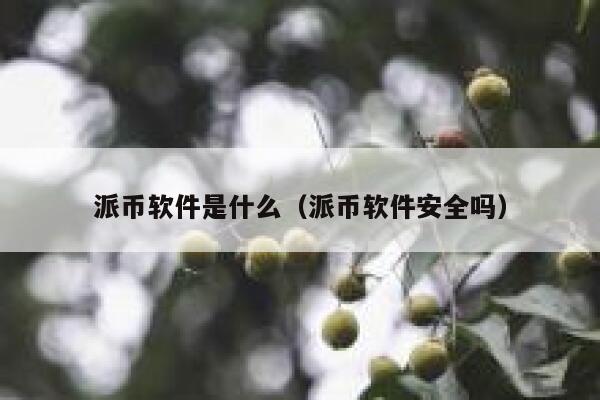 派币软件是什么（派币软件安全吗） 第1张