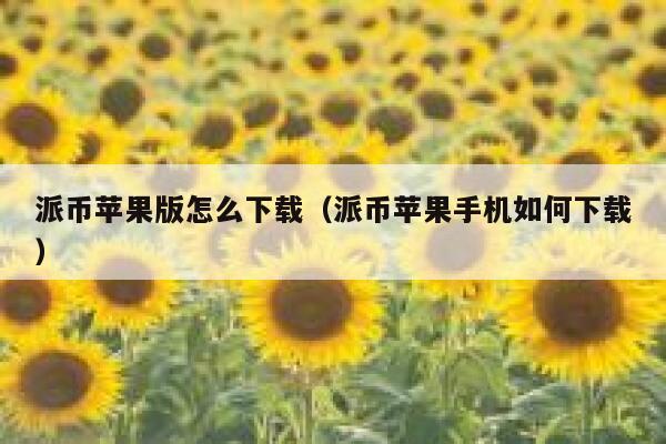派币苹果版怎么下载（派币苹果手机如何下载） 第1张