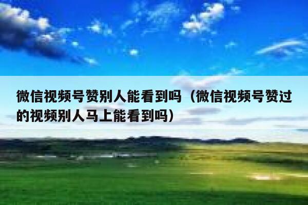 微信视频号赞别人能看到吗（微信视频号赞过的视频别人马上能看到吗） 第1张