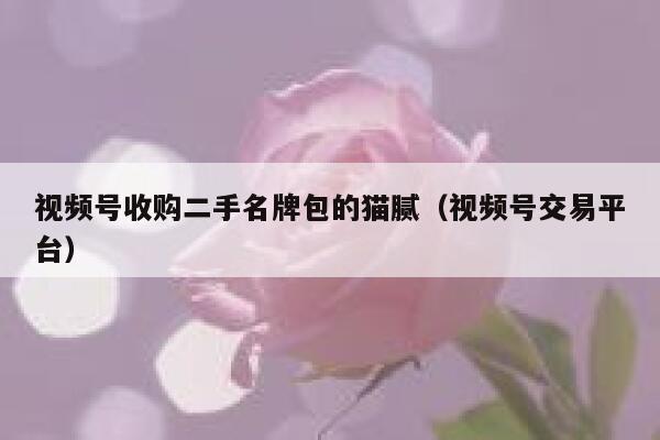 视频号收购二手名牌包的猫腻（视频号交易平台） 第1张