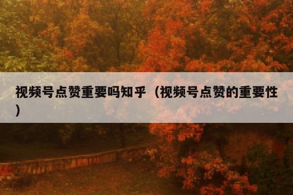 视频号点赞重要吗知乎（视频号点赞的重要性） 第1张