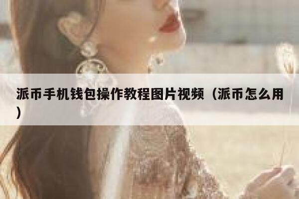 派币手机钱包操作教程图片视频（派币怎么用） 第1张