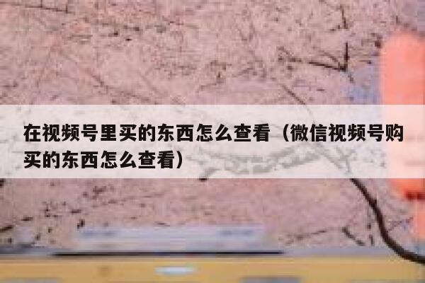 在视频号里买的东西怎么查看（微信视频号购买的东西怎么查看） 第1张