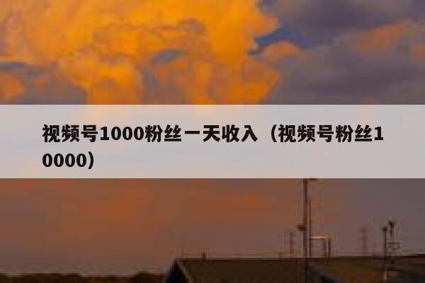 视频号1000粉丝一天收入（视频号粉丝10000） 第1张