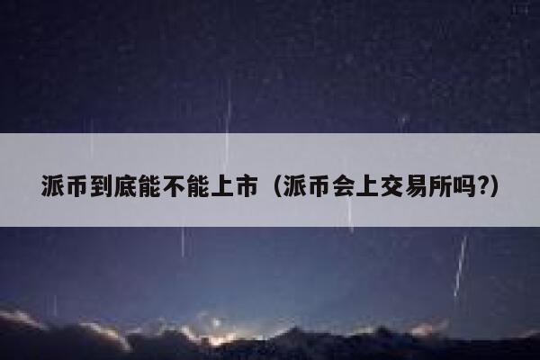 派币到底能不能上市（派币会上交易所吗?） 第1张