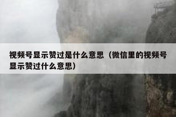 视频号显示赞过是什么意思(微信里的视频号显示赞过什么意思) 第1张 视频号显示赞过是什么意思(微信里的视频号显示赞过什么意思) 第1张