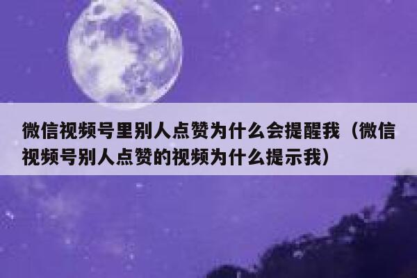 微信视频号里别人点赞为什么会提醒我(微信视频号别人点赞的视频为什么提示我) 第1张 微信视频号里别人点赞为什么会提醒我(微信视频号别人点赞的视频为什么提示我) 第1张