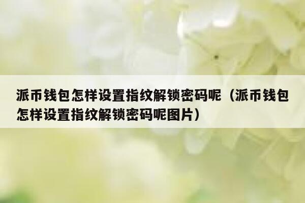 派币钱包怎样设置指纹解锁密码呢(派币钱包怎样设置指纹解锁密码呢图片) 第1张 派币钱包怎样设置指纹解锁密码呢(派币钱包怎样设置指纹解锁密码呢图片) 第1张