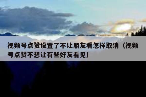 视频号点赞设置了不让朋友看怎样取消（视频号点赞不想让有些好友看见） 第1张