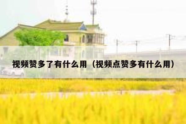 视频赞多了有什么用（视频点赞多有什么用） 第1张