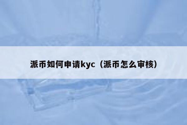 派币如何申请kyc（派币怎么审核） 第1张