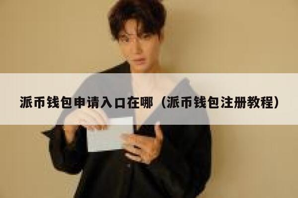 派币钱包申请入口在哪（派币钱包注册教程） 第1张