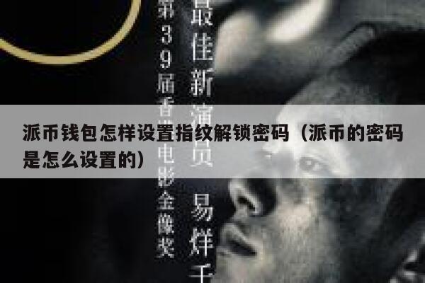 派币钱包怎样设置指纹解锁密码（派币的密码是怎么设置的） 第1张