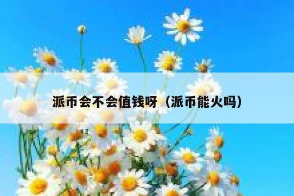 派币会不会值钱呀（派币能火吗） 第1张