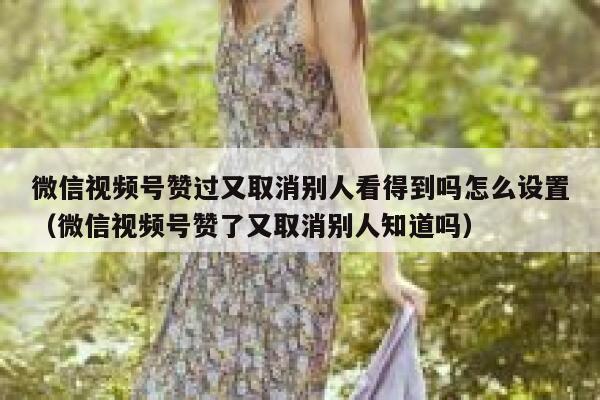 微信视频号赞过又取消别人看得到吗怎么设置（微信视频号赞了又取消别人知道吗） 第1张