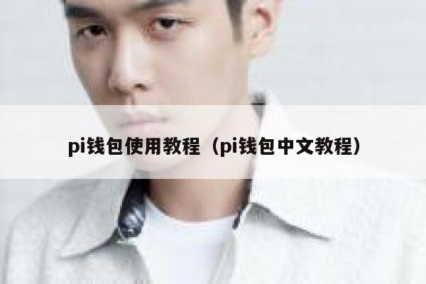 pi钱包使用教程（pi钱包中文教程） 第1张