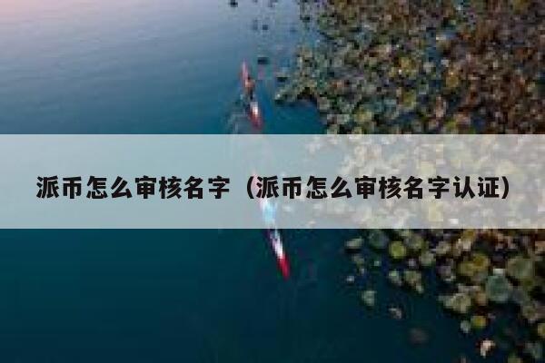 派币怎么审核名字（派币怎么审核名字认证） 第1张