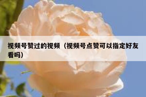 视频号赞过的视频（视频号点赞可以指定好友看吗） 第1张