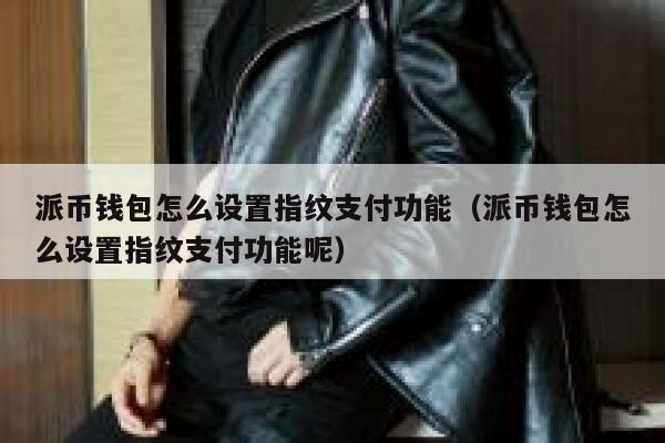派币钱包怎么设置指纹支付功能（派币钱包怎么设置指纹支付功能呢） 第1张