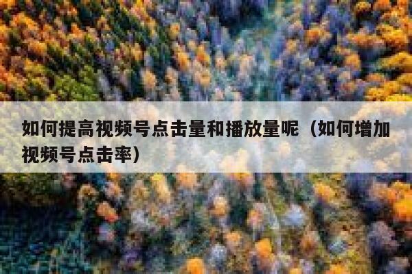 如何提高视频号点击量和播放量呢（如何增加视频号点击率） 第1张