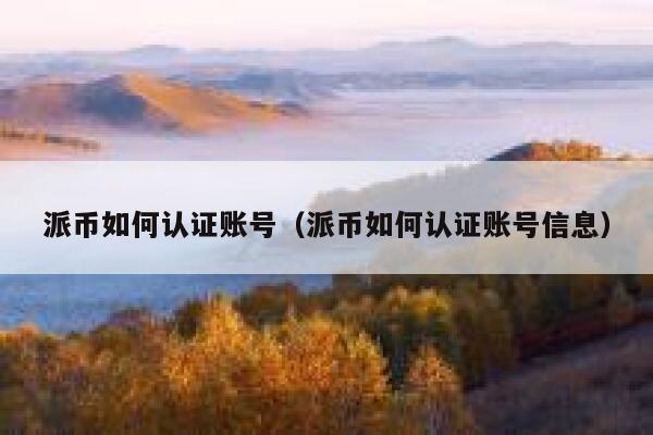 派币如何认证账号（派币如何认证账号信息） 第1张