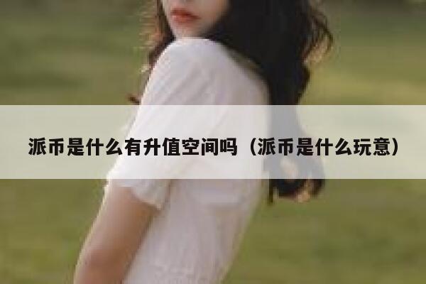 派币是什么有升值空间吗（派币是什么玩意） 第1张