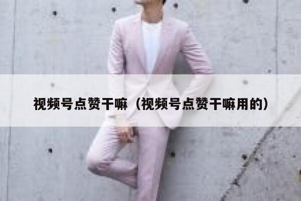 视频号点赞干嘛（视频号点赞干嘛用的） 第1张