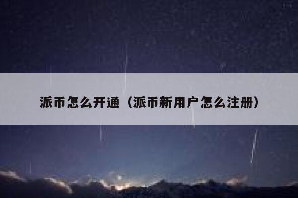 派币怎么开通（派币新用户怎么注册） 第1张