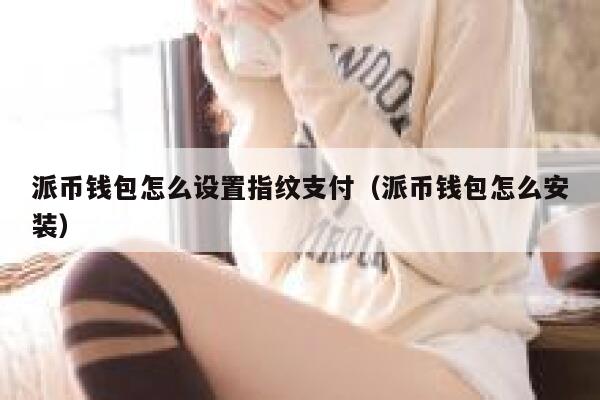 派币钱包怎么设置指纹支付（派币钱包怎么安装） 第1张