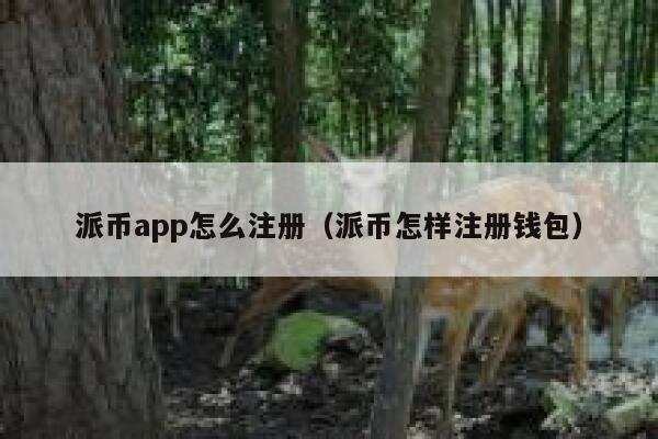 派币app怎么注册（派币怎样注册钱包） 第1张