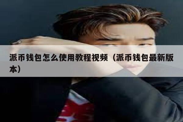 派币钱包怎么使用教程视频（派币钱包最新版本） 第1张