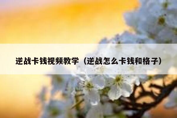 逆战卡钱视频教学（逆战怎么卡钱和格子） 第1张