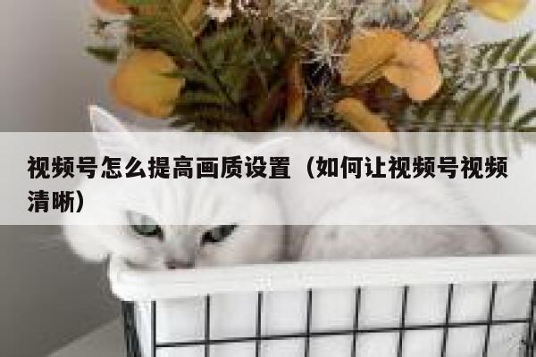 视频号怎么提高画质设置（如何让视频号视频清晰） 第1张
