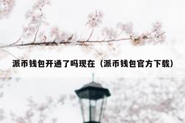 派币钱包开通了吗现在（派币钱包官方下载） 第1张