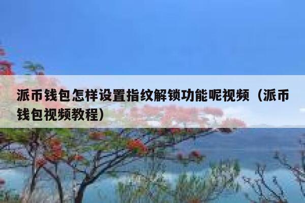 派币钱包怎样设置指纹解锁功能呢视频（派币钱包视频教程） 第1张