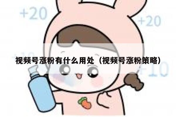 视频号涨粉有什么用处（视频号涨粉策略） 第1张