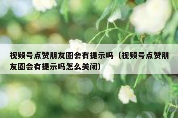 视频号点赞朋友圈会有提示吗（视频号点赞朋友圈会有提示吗怎么关闭） 第1张