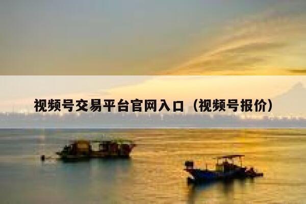 视频号交易平台官网入口（视频号报价） 第1张