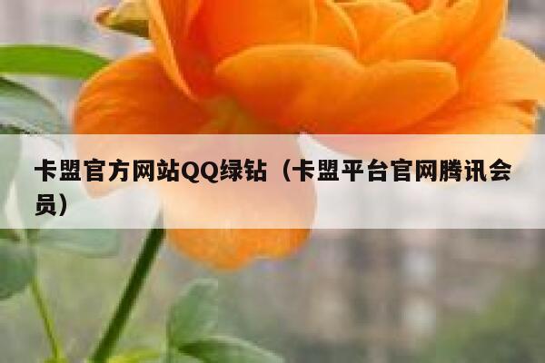 卡盟官方网站QQ绿钻（卡盟平台官网腾讯会员） 第1张