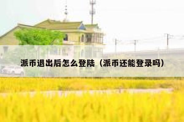 派币退出后怎么登陆（派币还能登录吗） 第1张