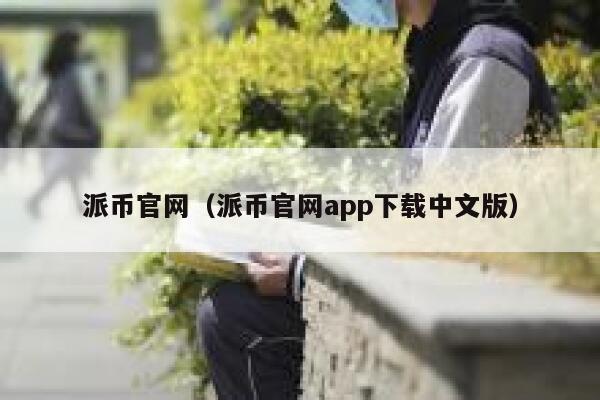 派币官网（派币官网app下载中文版） 第1张