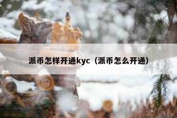 派币怎样开通kyc（派币怎么开通） 第1张