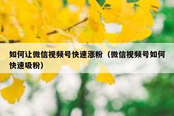 如何让微信视频号快速涨粉（微信视频号如何快速吸粉） 第1张