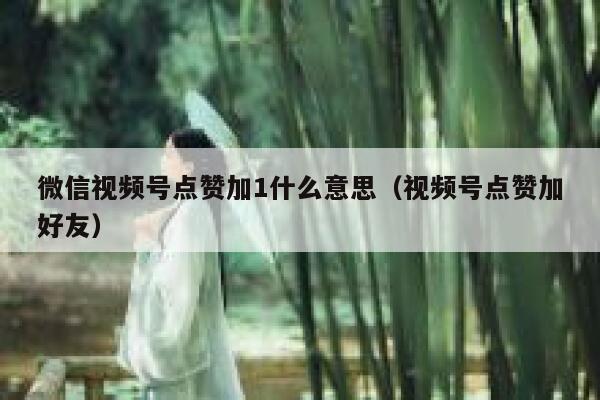 微信视频号点赞加1什么意思（视频号点赞加好友） 第1张