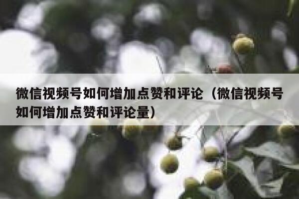 微信视频号如何增加点赞和评论（微信视频号如何增加点赞和评论量） 第1张