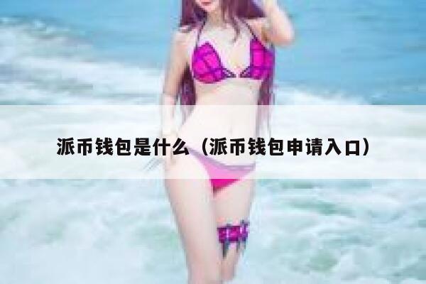 派币钱包是什么（派币钱包申请入口） 第1张